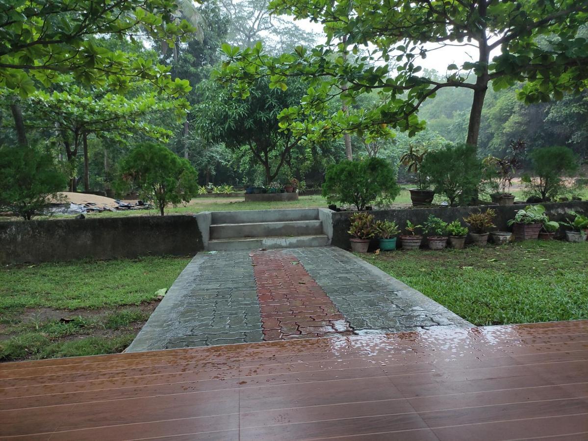 波隆纳鲁沃 Deer Garden Guest酒店 外观 照片